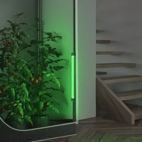 AC Infinity IONBEAM Green