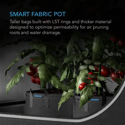 AC Infinity Heavy Duty Fabric Pots (11L)