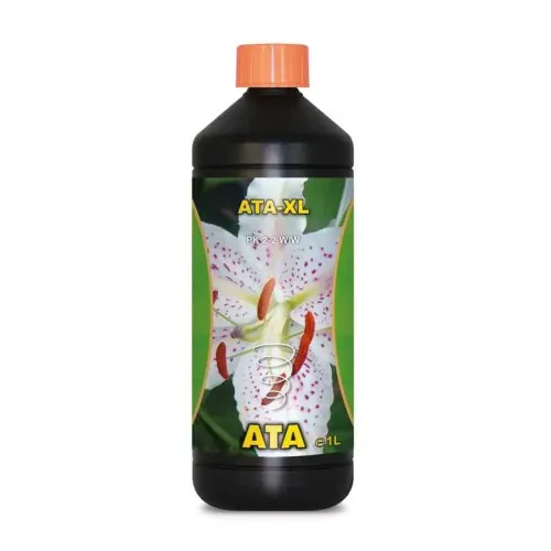 Atami - Ata XL
