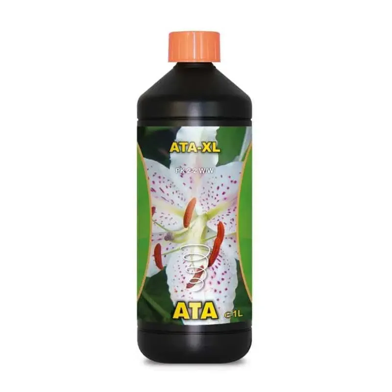 Atami - Ata XL