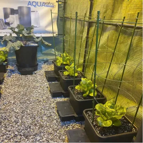 AutoPot - 1Pot 16 pot watering system