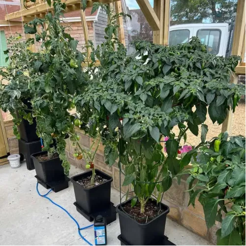 AutoPot - 1Pot 16 pot watering system