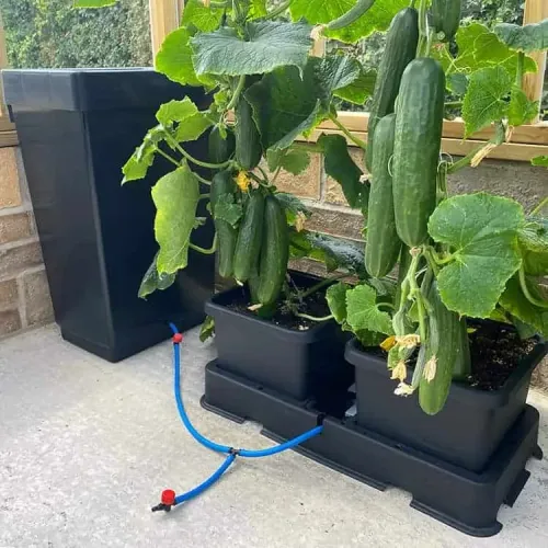 AutoPot - Easy2Grow 12 Pots Watering System
