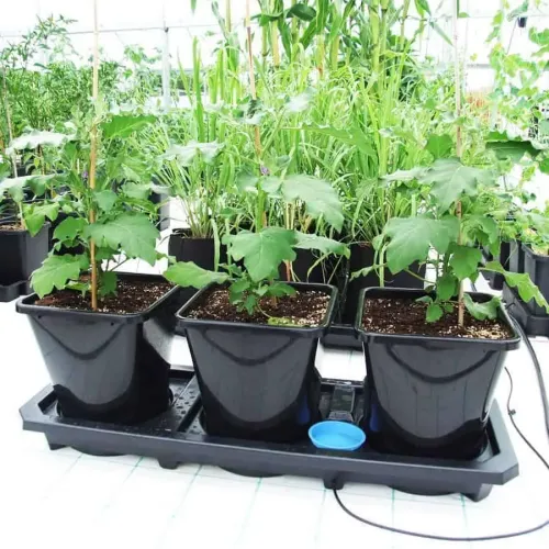 AutoPot - Auto3 XL Traysystem kweeksysteem met 3 stuks 25L potten