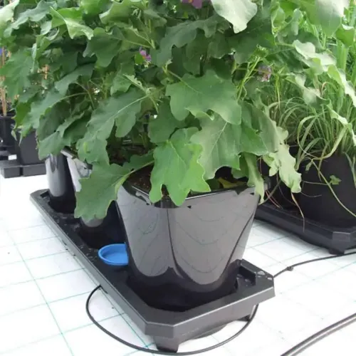 AutoPot - Auto3 XL Traysystem kweeksysteem met 3 stuks 25L potten