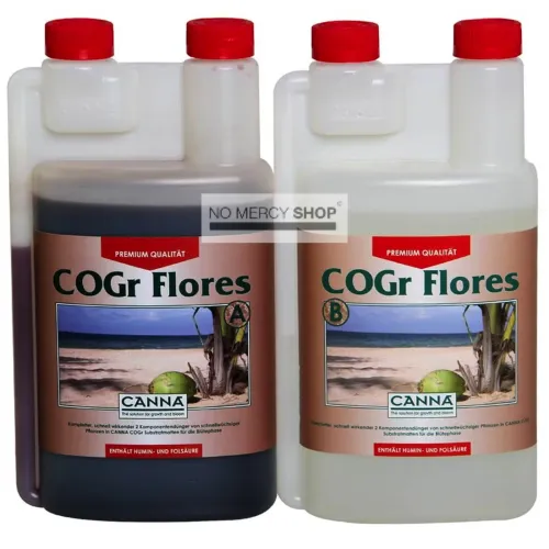 Canna - COGR Flores A+B