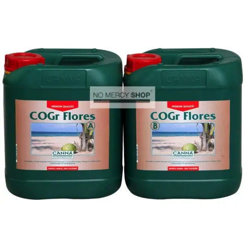 Canna - COGR Flores A+B