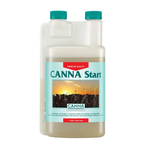 Canna - Start