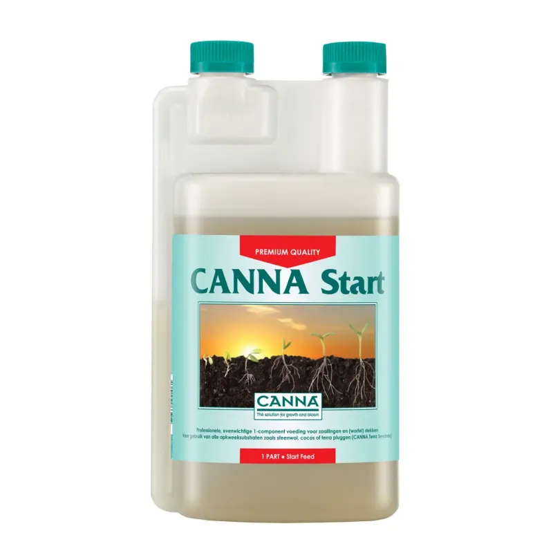 Canna - Start