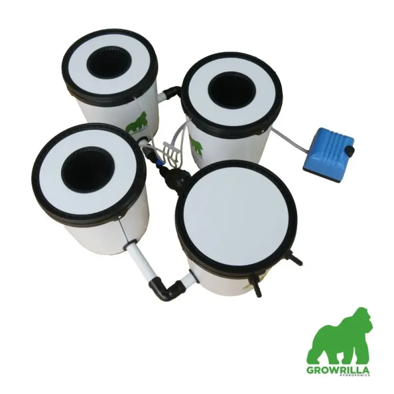 Growrilla Hydroponic system 2.0 RDWC 3