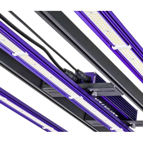 Lumatek - Zeus 300W Pro 3.1 LED