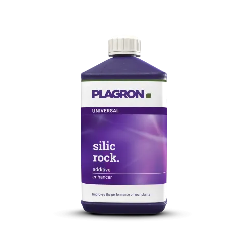 Plagron - Silic Rock