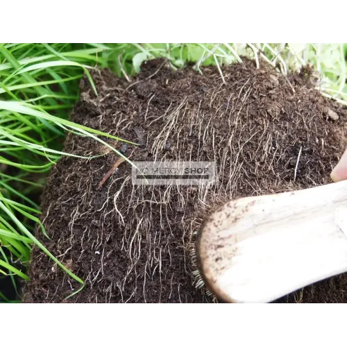 Root Pouch Boxer Brown 16 Liter
