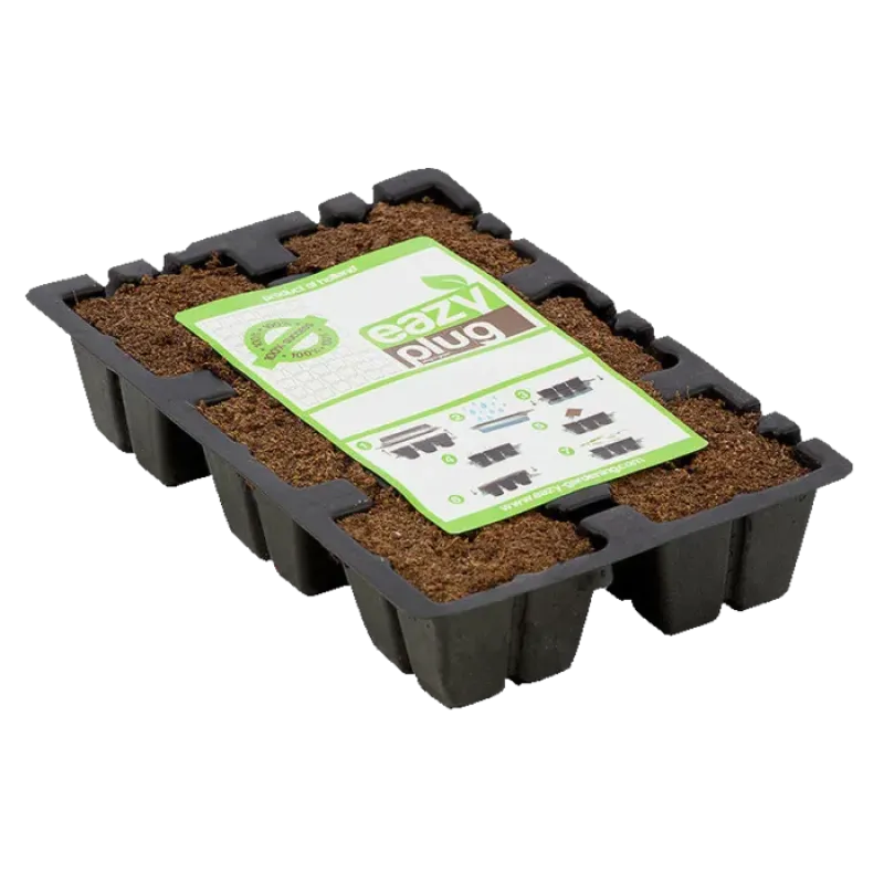 Eazy Plug - Rooting Plugs 6 pieces
