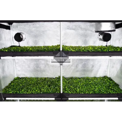 Garden Highpro Probox Propagator XL