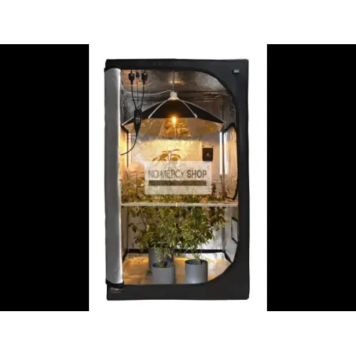 Secret Jardin - Daisy Reflector 60