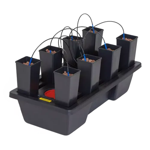 NutSystems - Origin Mini 8