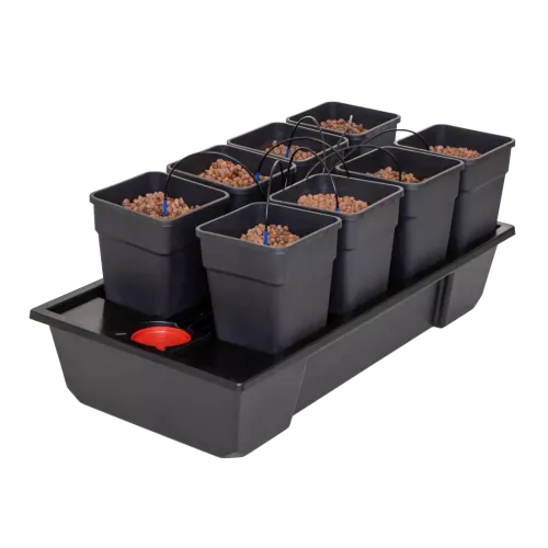 NutSystems - Origin Small Wide 8