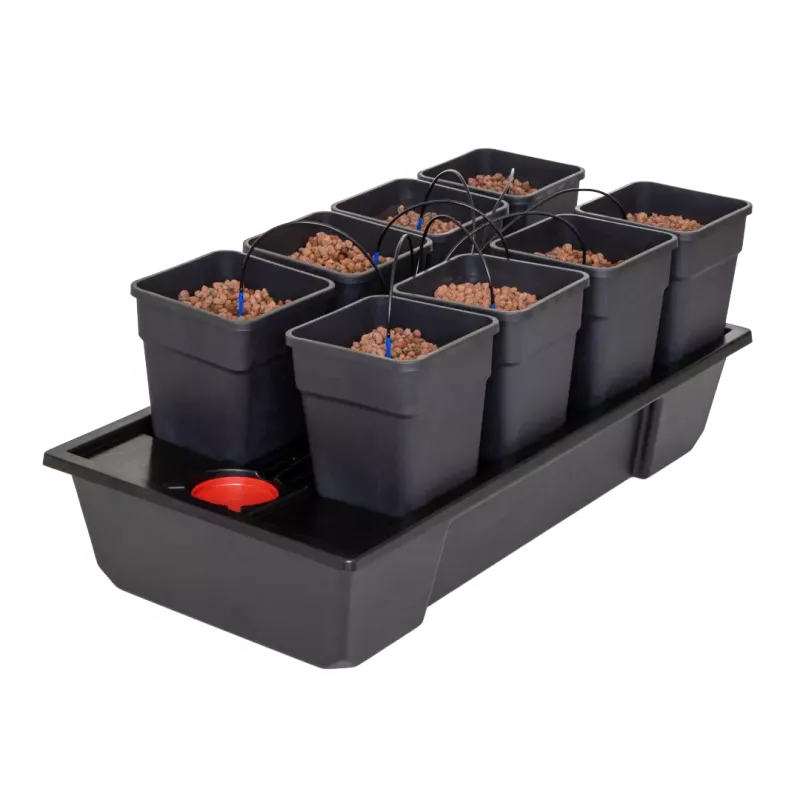 NutSystems - Origin Small Wide 8