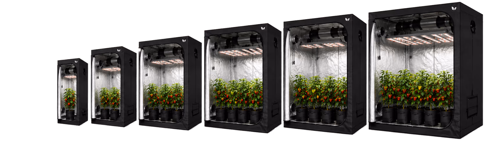 Grow Tents — 60x60