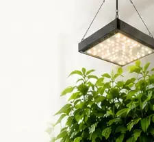 Verlichting