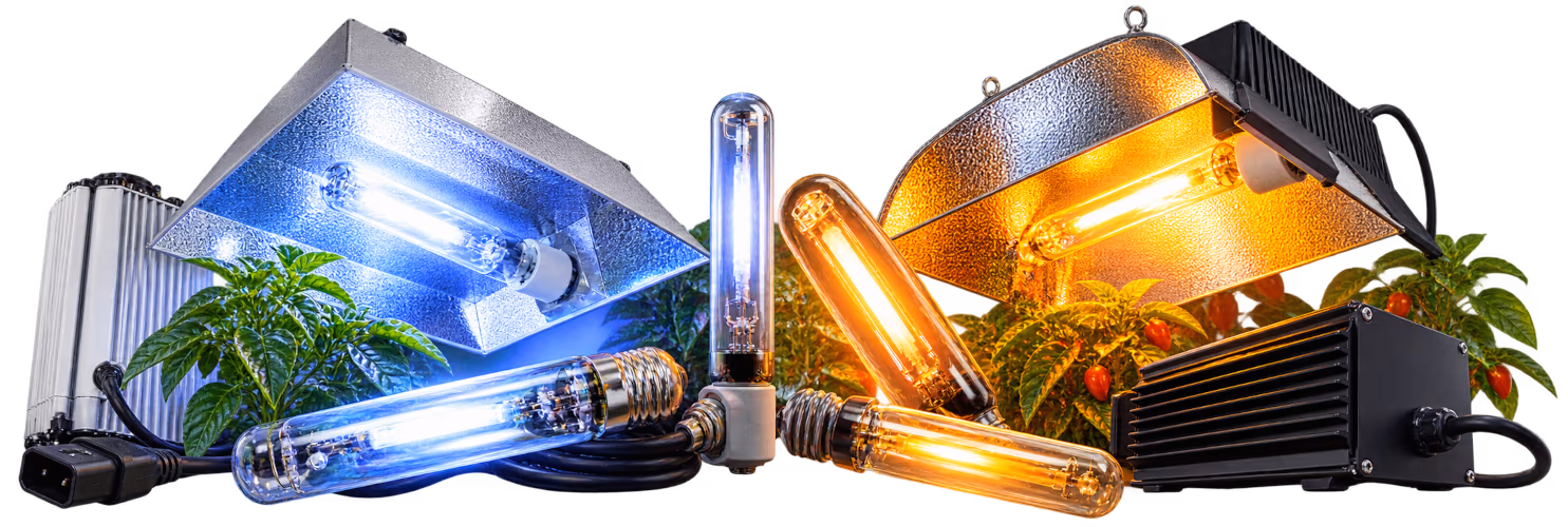 Verlichting — MH & HPS Lampen