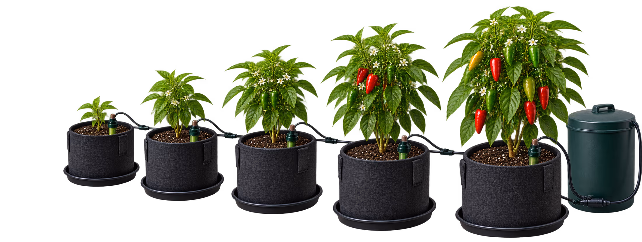 Growing Systems — Drip Systems