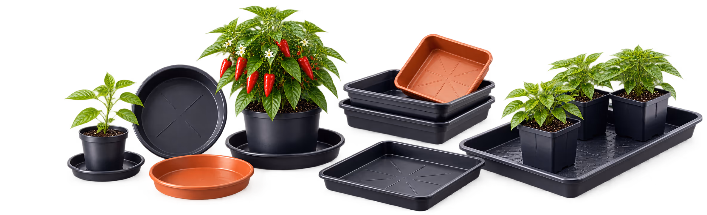 Potten & Schalen — Plantenschalen