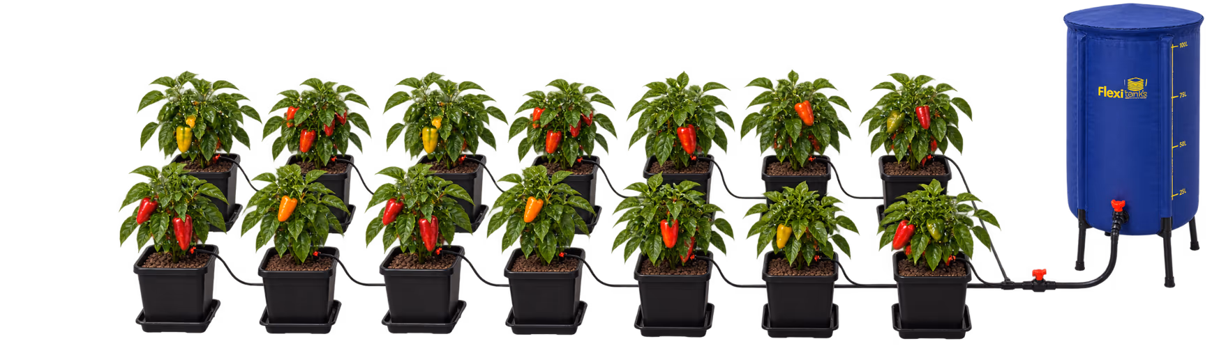 Growing Systems