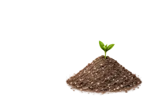 Soil