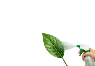 Foliar Feed