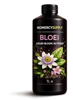 Bloom