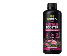 Boosters