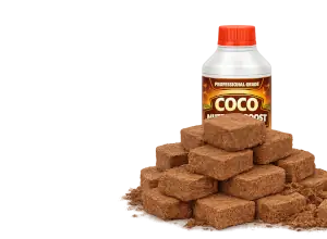 Coco