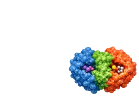 Enzymes