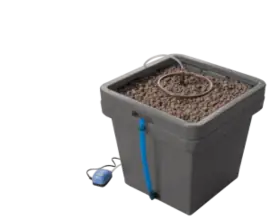 Hydroponics