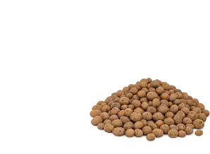 Clay Pebbles