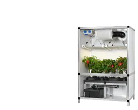 Grow Cabinets