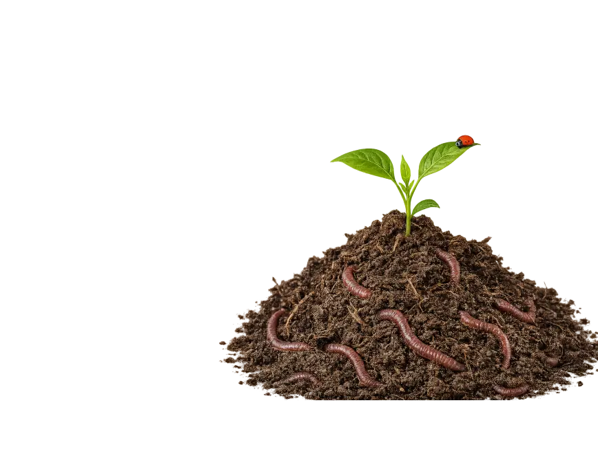 Organic
