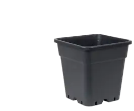 Vierkante Potten