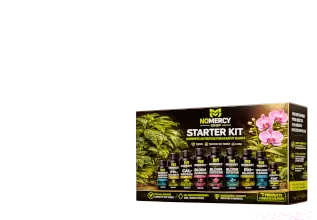 Starter Kits
